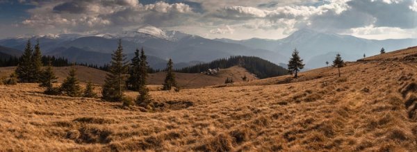 Полонина Григорівка. Фото Вікімедіа Україна