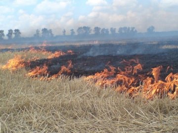 На Волині спалили майже 23 гектари цінної трави