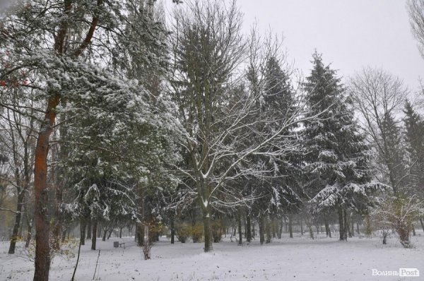 Фото снігу в Луцьку