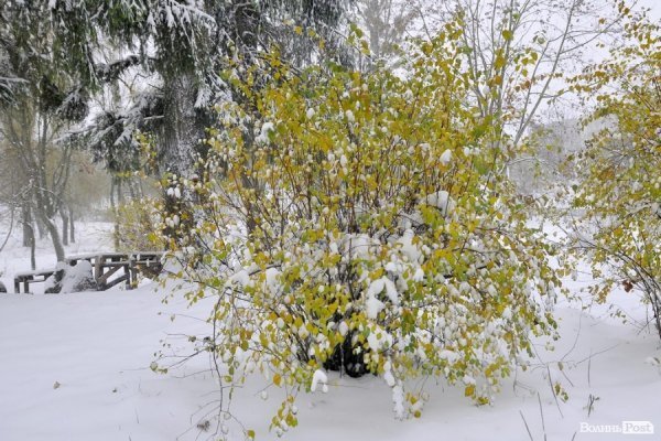 Фото снігу в Луцьку