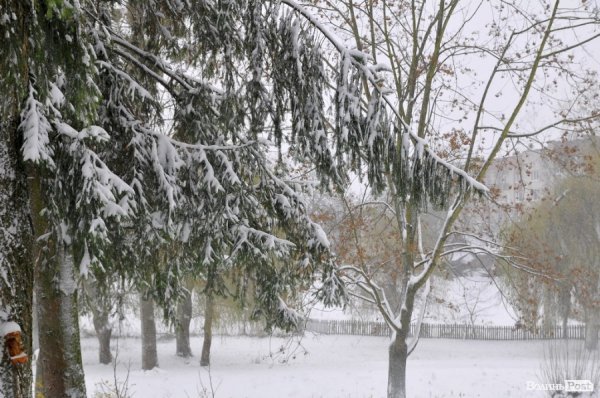 Фото снігу в Луцьку