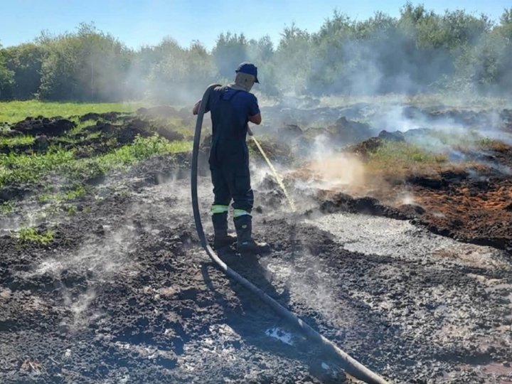 На Волині загорілося торфовище. ФОТО