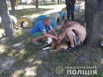 На ринку у Луцьку злодій поцупив їжу 