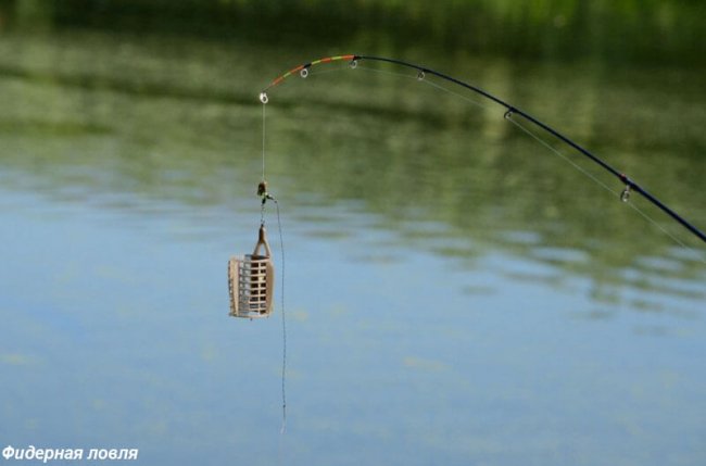 Чому краще не економити на покупці фідера?*