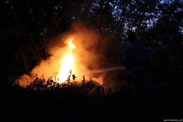 На околиці Луцька гасили пожежу. ФОТО