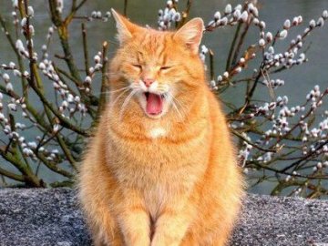 Погода у Луцьку на понеділок, 4 березня