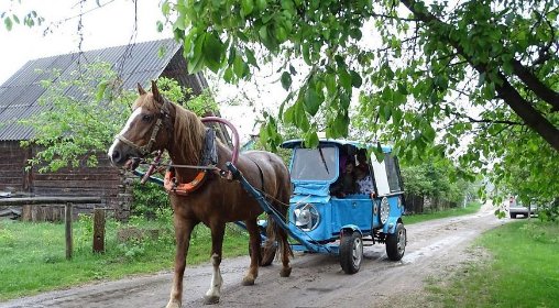 Волинянин змайстрував карету, яка возить малюків до дитсадка і в школу. ФОТО
