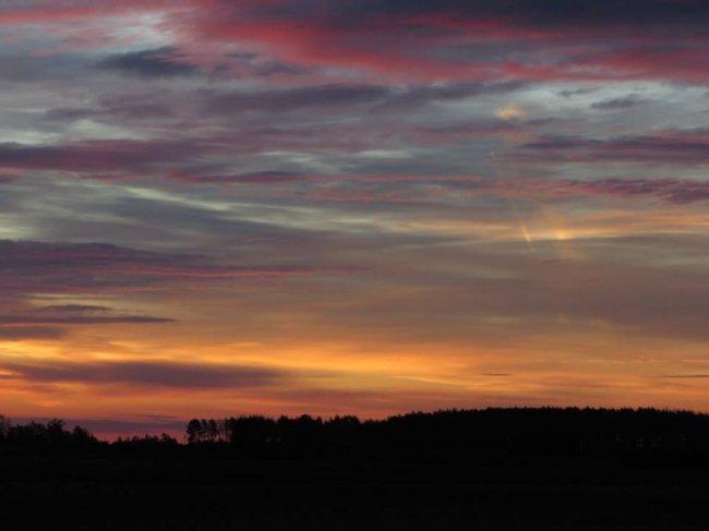 Казкові краєвиди Цуманської пущі. ФОТО
