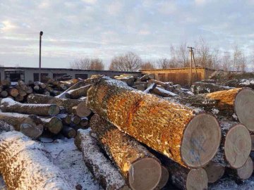 На Волині «накрили» понад 300 підпільних пилорам