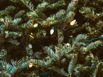 Добрі новини від ВолиньPost за 10 січня 