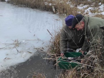 На Волині до водосховища випустили 2 тонни риби. ФОТО