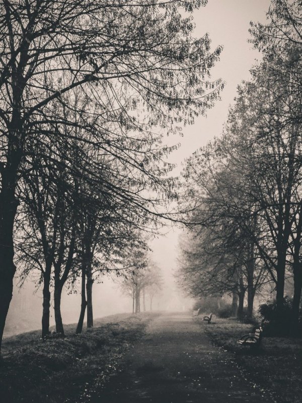 Фотовиставка Тараса Маркіна