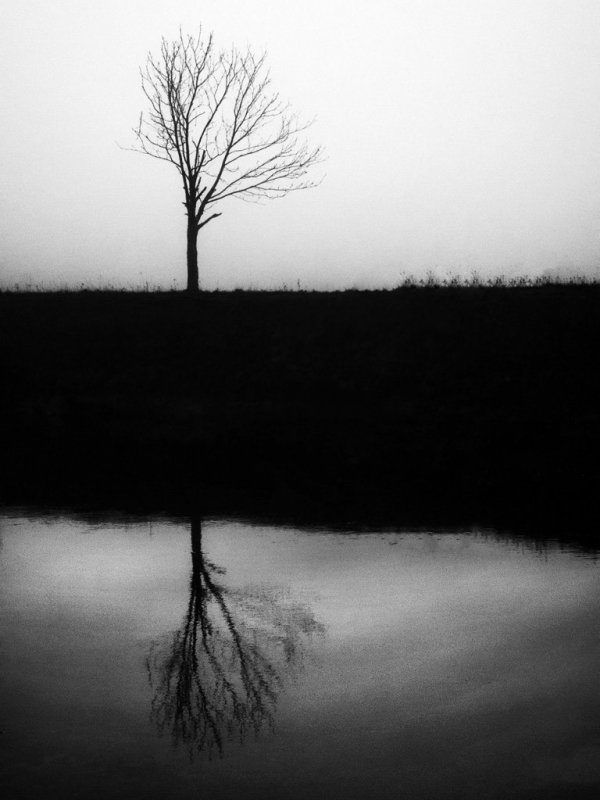 Фотовиставка Тараса Маркіна