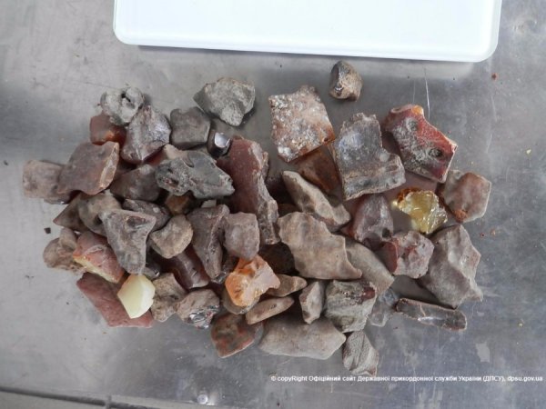 Волинянин нашпигував авто бурштином, щоб вивезти у Польщу. ФОТО