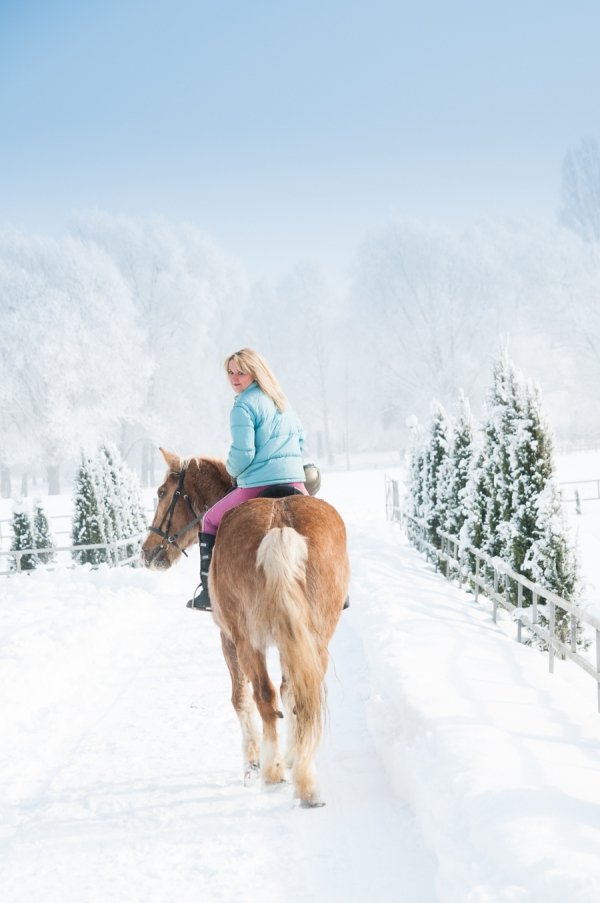 Фотовиставка Василя Охріменка
