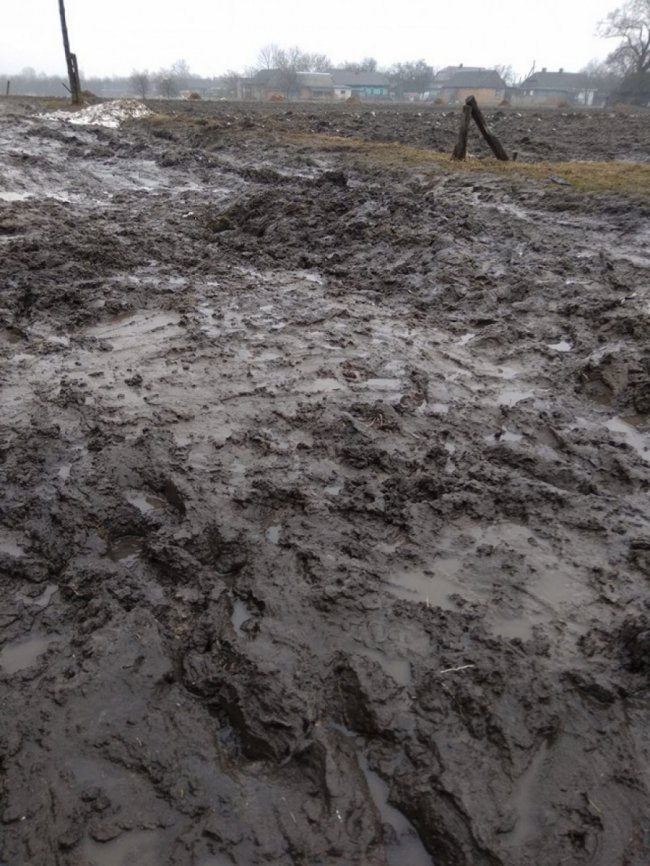 «Нанотехнології» перетворили вулицю на болото