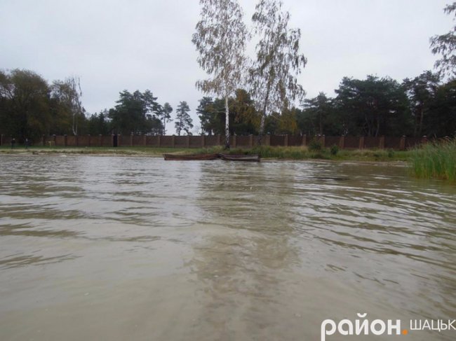 Самотній і чудернацький: оприлюднили фото осіннього Світязю