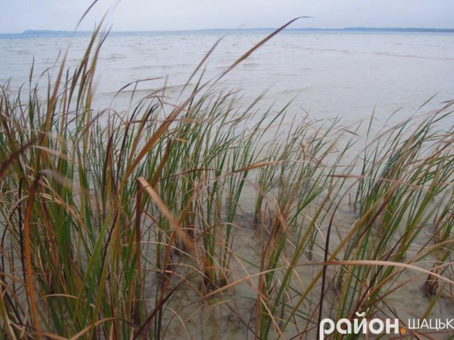 Самотній і чудернацький: оприлюднили фото осіннього Світязю