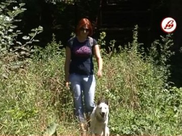 У Луцьку вирішують, що робити з майданчиком для вигулу собак поблизу залізниці