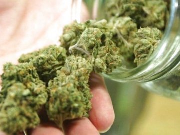 Повідомили про підозру волинянину, який торгував канабісом