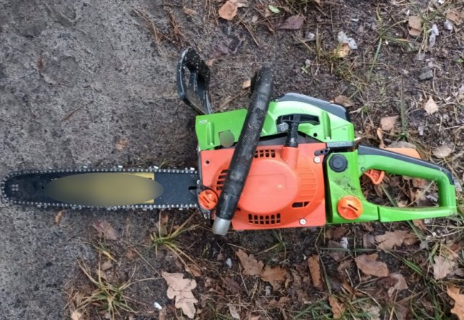 Волинянин незаконно рубав дерева на території природно-заповідного фонду. ФОТО