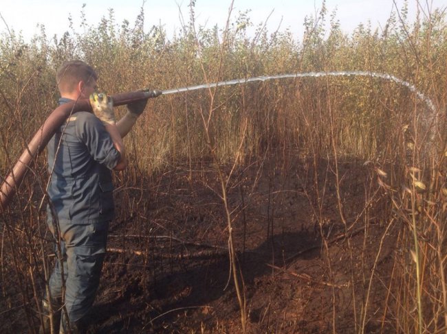 На Волині горіли чагарники та торфополя. ФОТО