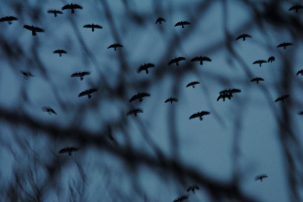 Фотовиставка Ірини Ільчук 