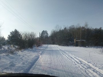Йдуть 4 км через ліс: на Волині батьки вимагають шкільного автобуса для дітей