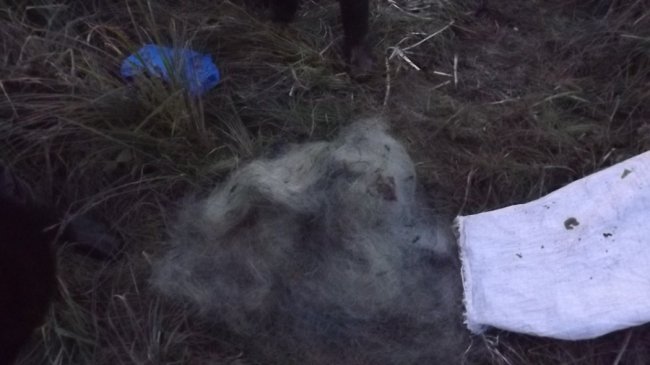 Затримали двох волинян, які ловили рибу з човна сітками