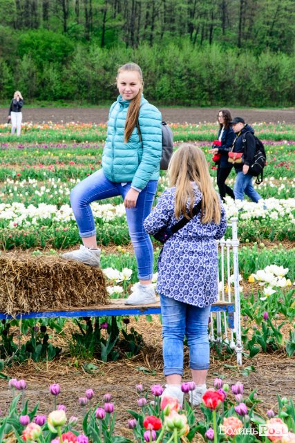 Попри негоду «Волинська Голландія» гостинно зустрічає гостей. ФОТО
