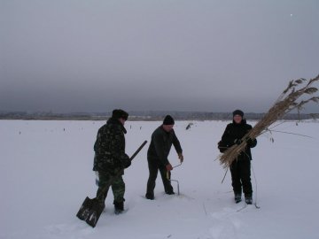 У «Цуманській пущі» рятували рибу від задухи