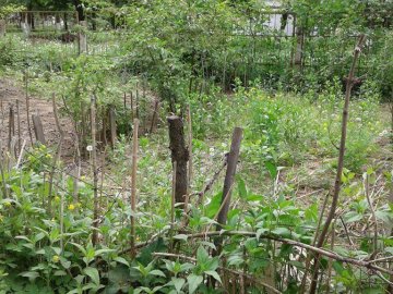Дріт, гілки та штахети, - муніципали про «паркани» у дворах лучан. ФОТО