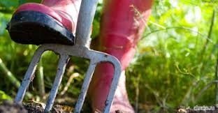 1 травня на Волині: гортаючи календар