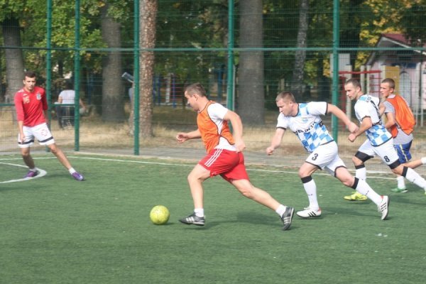 «Недитячі» дворові баталії на Волині