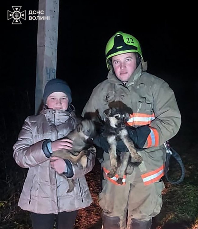 У Луцькому районі рятувальники визволили двох цуценят, які впали у семиметровий колодязь