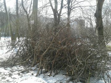 Мешканці багатоповерхівок перетворили прилеглу територію у звалища