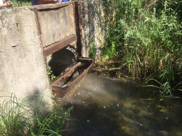 З'ясували, як можна врятувати Світязь від катастрофічного обміління