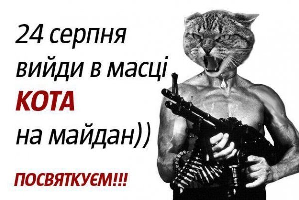 Бабуся і кіт: фотожабоманія триває. ФОТО