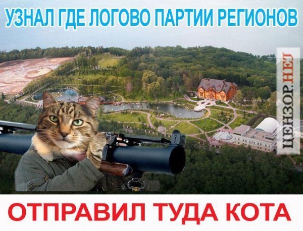 Бабуся і кіт: фотожабоманія триває. ФОТО