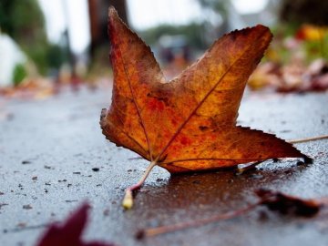 В Україну іде похолодання 