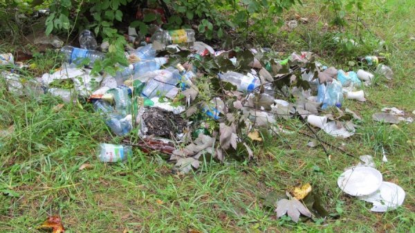 Луцький парк завалили сміттям. ФОТО