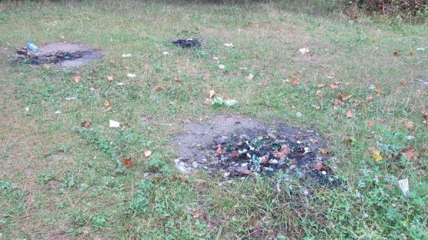 Луцький парк завалили сміттям. ФОТО