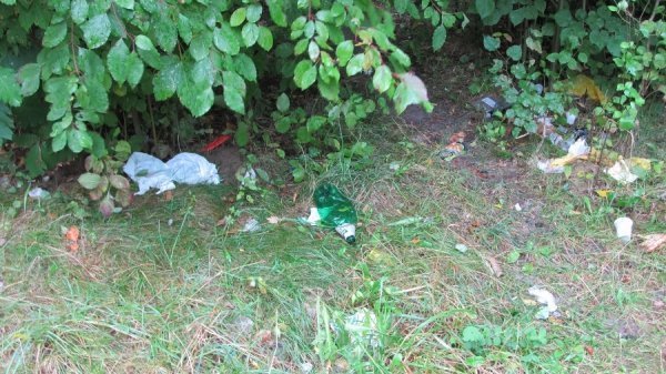 Луцький парк завалили сміттям. ФОТО