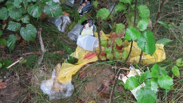 Луцький парк завалили сміттям. ФОТО