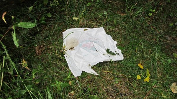 Луцький парк завалили сміттям. ФОТО