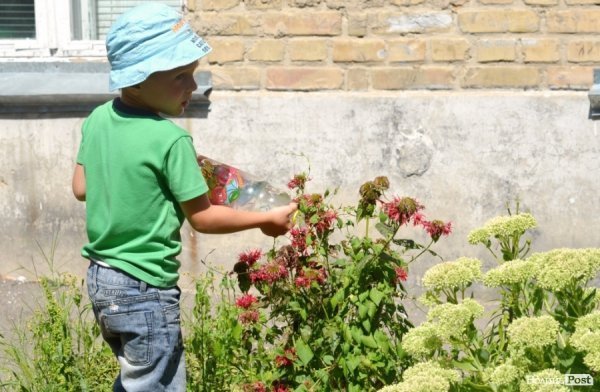 Фотопогляд: проспект Волі
