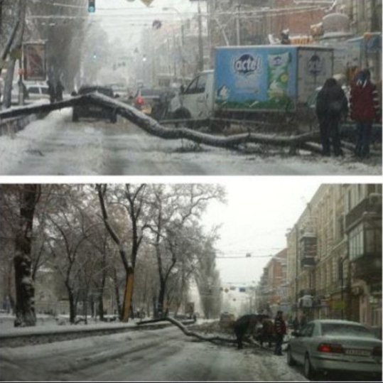 У Києві через негоду дерева падають на людей і розбивають машини. ФОТО