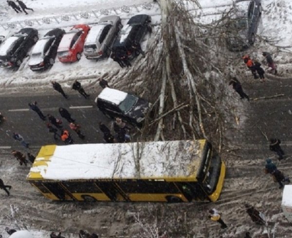 У Києві через негоду дерева падають на людей і розбивають машини. ФОТО