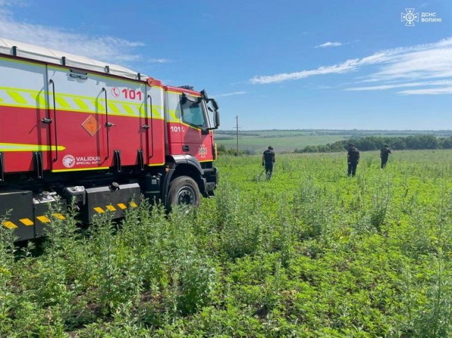 Волинські сапери розміновують поля на Донеччині