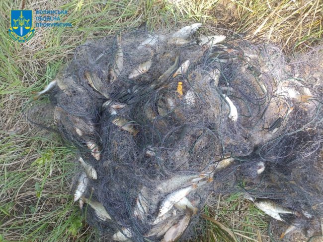 Волинянин наловив риби на понад пів мільйона гривень